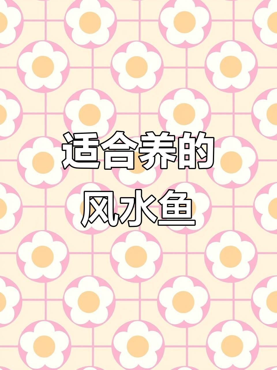 有哪些適合家居的風水魚種？【五種最適合養的招財風水魚】