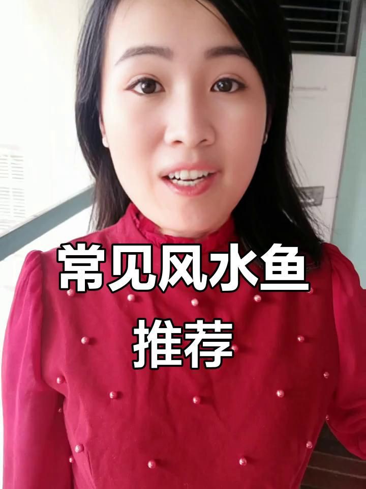 有哪些適合家居的風水魚種？【五種最適合養的招財風水魚】