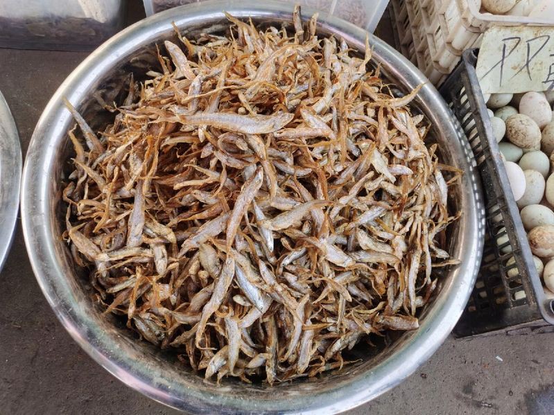 毛刀魚是海魚還是淡水魚【毛刀魚屬于淡水魚主要分布于中國巢湖等水域是典型的淡水型刀鱭】