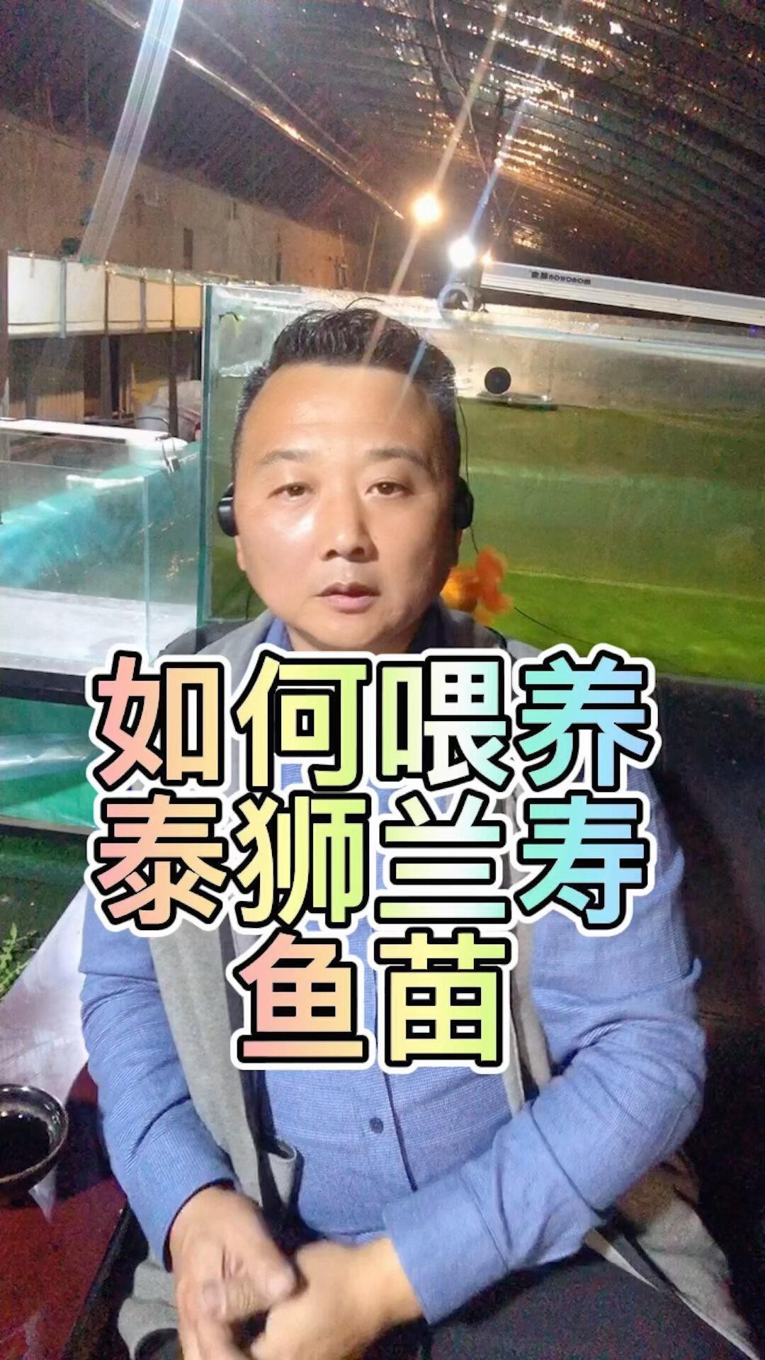 蘭壽金魚視頻觀賞大全【《蘭壽金魚視頻觀賞大全》】