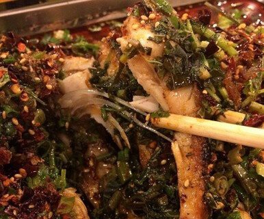 樂山龍魚店【樂山龍魚店哪個口碑最好】