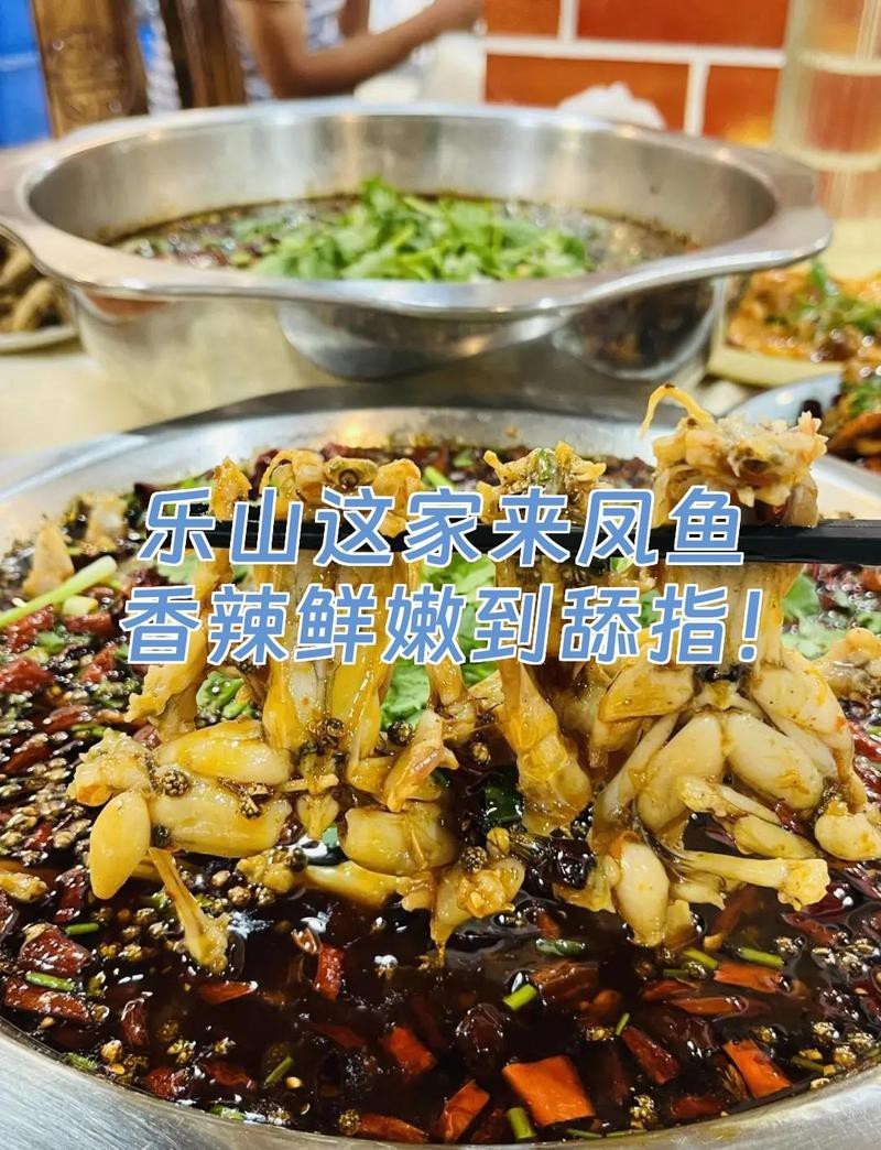 樂山龍魚店【樂山龍魚店哪個口碑最好】