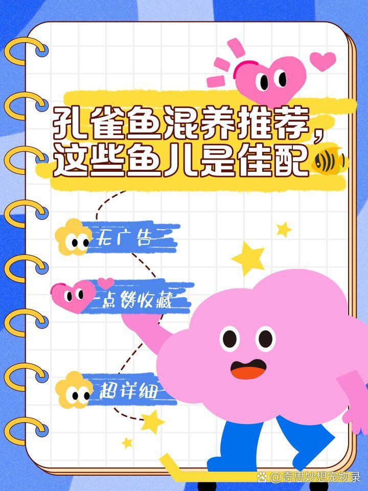 孔雀魚混養最佳伴侶魚【孔雀魚和什么魚可以混養】