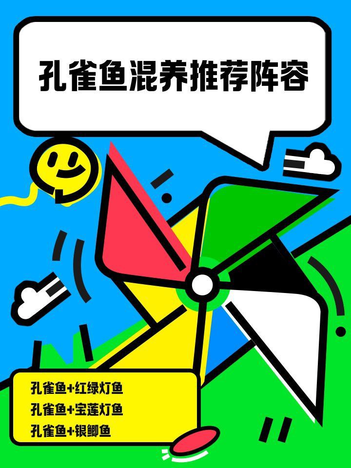 孔雀魚混養最佳伴侶魚【孔雀魚和什么魚可以混養】