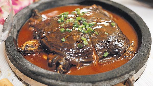 甲魚到家里有什么預兆【《甲魚到家里有什么預兆》科學認知為甲魚入宅現(xiàn)象】