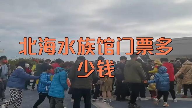 北海水族店【北海市擁有多家特色鮮明的水族店】 北海水族店【北海市擁有多家特色鮮明的水族店】 全國水族館企業名錄 第3張