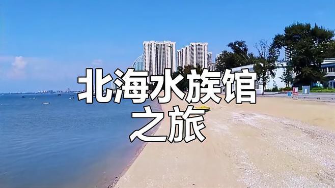 北海水族店【北海市擁有多家特色鮮明的水族店】 北海水族店【北海市擁有多家特色鮮明的水族店】 全國水族館企業名錄 第2張