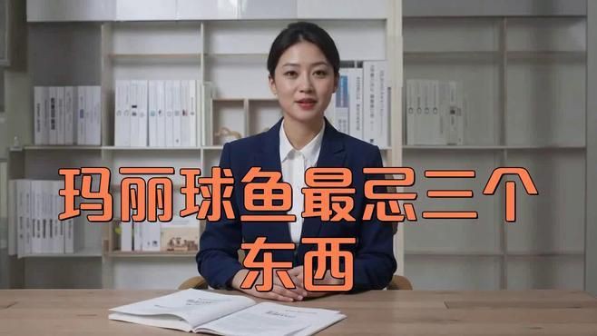 瑪麗球魚為什么不建議養(yǎng)，瑪麗球魚為什么不建議養(yǎng)酷颯笑匠 瑪麗球魚為什么不建議養(yǎng)，瑪麗球魚為什么不建議養(yǎng)酷颯笑匠 龍魚百科 第5張