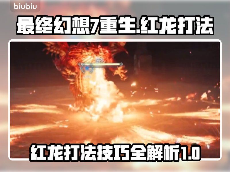 紅龍戰斗技巧，《紅龍戰斗技巧》聚焦于神秘且強大的紅龍