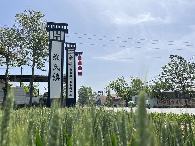 偃師龍魚店，偃師龍魚店地址在哪里