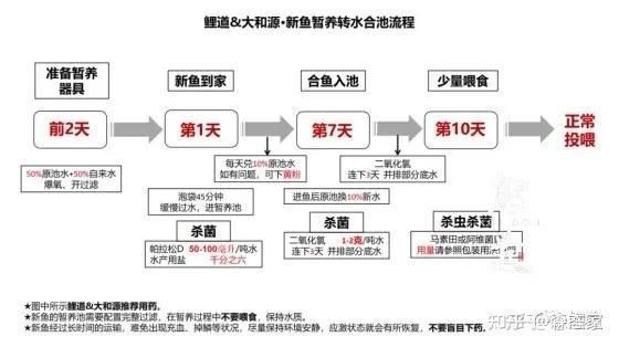孟吉爾魚場最簡單三個步驟，大夠哥教你錦鯉新魚回家后如何合池