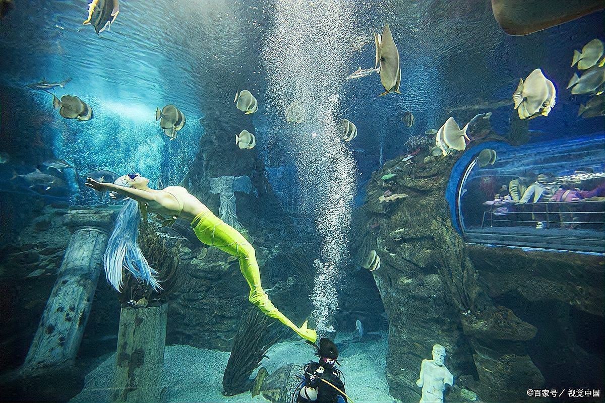 聊城水族館，聊城水族館游記