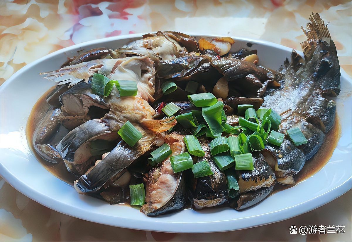 東北三道鱗鯉魚，東北三道鱗鯉魚，你吃過嗎？