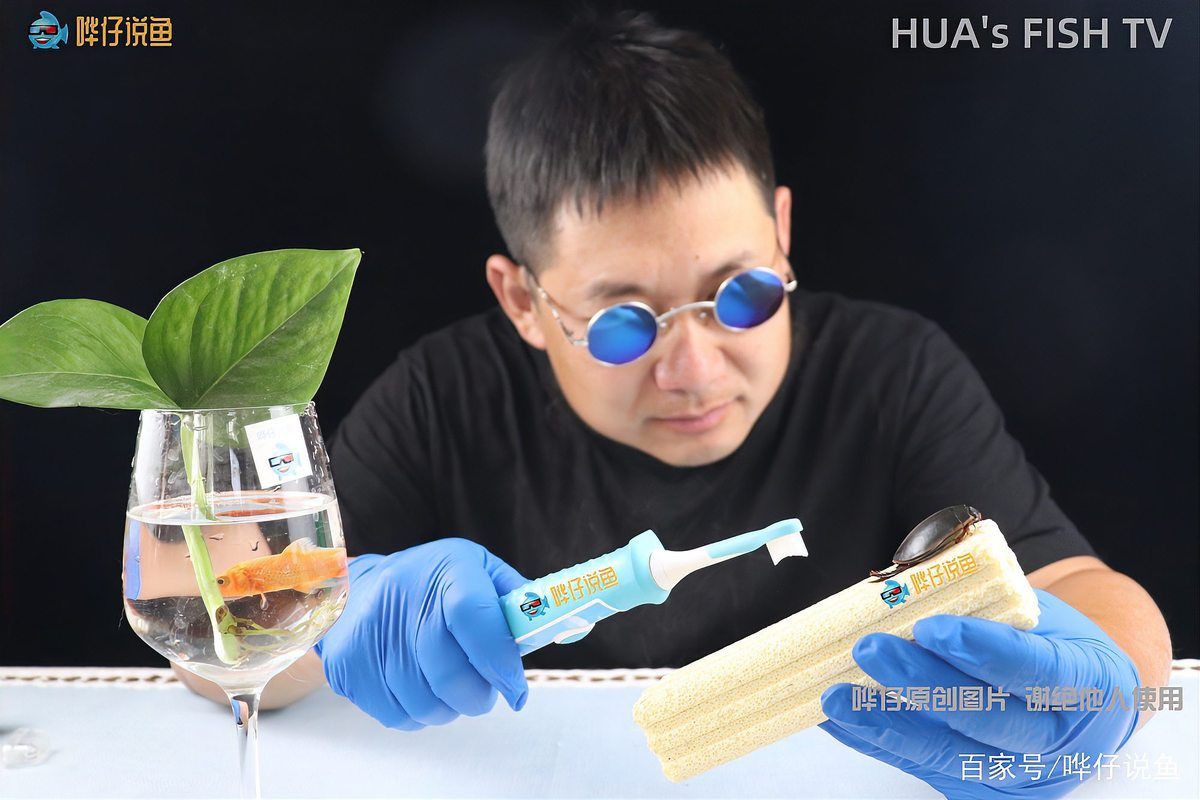 橫放缸和豎放缸哪個更美觀？，“富不買橫廳,窮不買豎廳”背后的原因太扎心了
