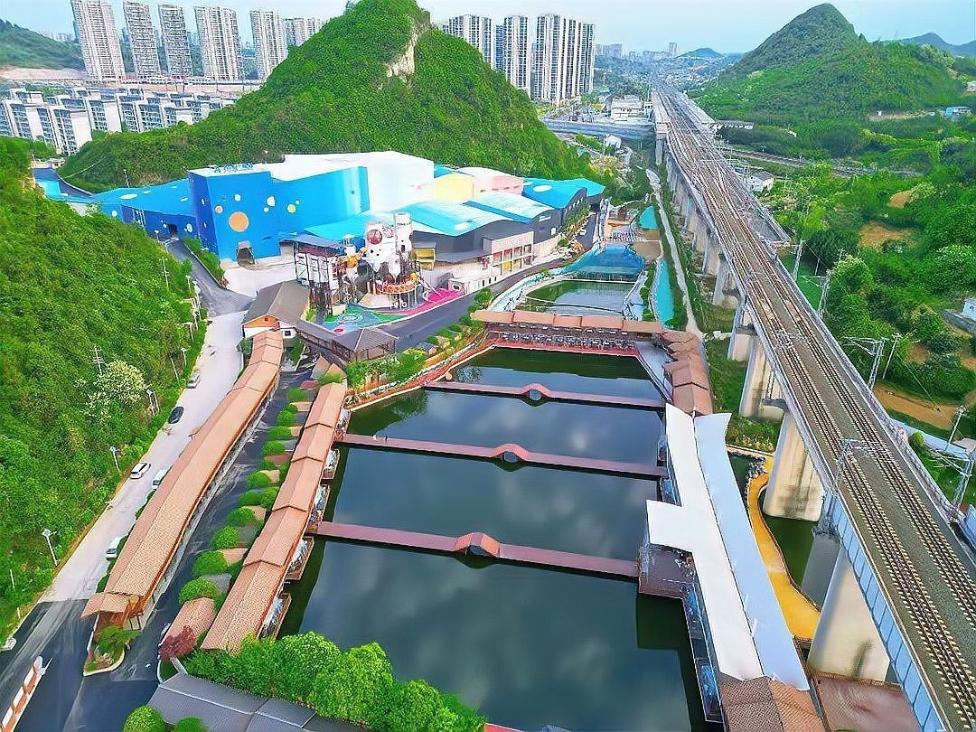 威寧龍魚店，威寧龍魚養殖需要什么條件