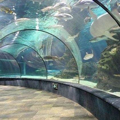 嘉興水族店，嘉興口碑最好的水族店嘉興名揚水族館順企網嘉興名揚水族館