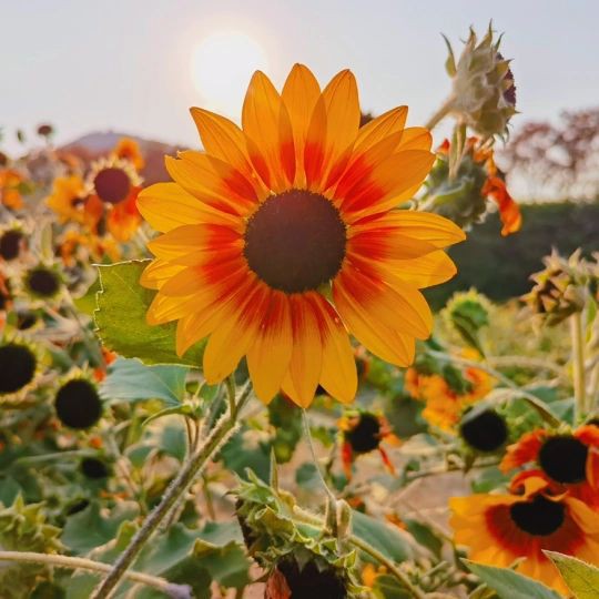 泰州魚缸店，興化市騰龍水族店 泰州魚缸店，興化市騰龍水族店 全國水族館企業名錄 第9張