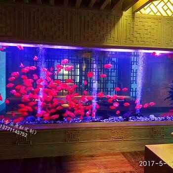 泰州魚缸店，興化市騰龍水族店 泰州魚缸店，興化市騰龍水族店 全國水族館企業名錄 第5張