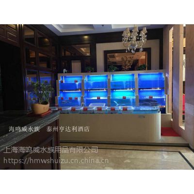 泰州魚缸店，興化市騰龍水族店 泰州魚缸店，興化市騰龍水族店 全國水族館企業名錄 第7張