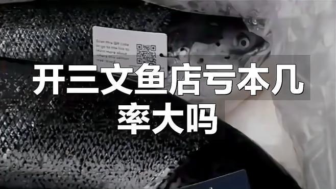 開三文魚店的十大忠告，《開三文魚店的十大忠告》