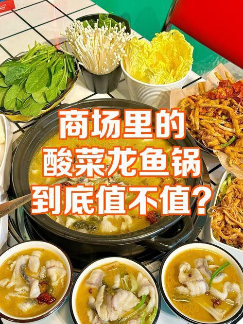 雙鴨山龍魚店，雙鴨山口碑最好的龍魚店姚胖子活魚鍋價格不值不值 雙鴨山龍魚店，雙鴨山口碑最好的龍魚店姚胖子活魚鍋價格不值不值 全國水族館企業名錄 第2張