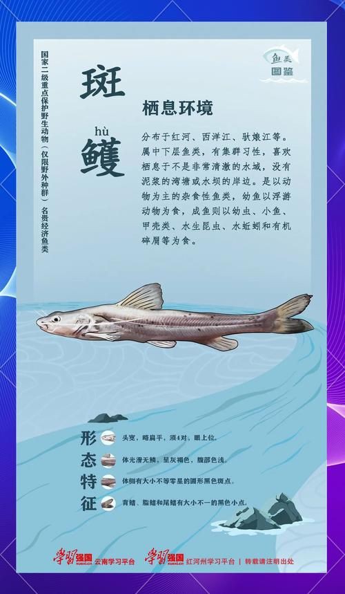 國家二級保護魚種圖片，國家二級保護水生動物探秘