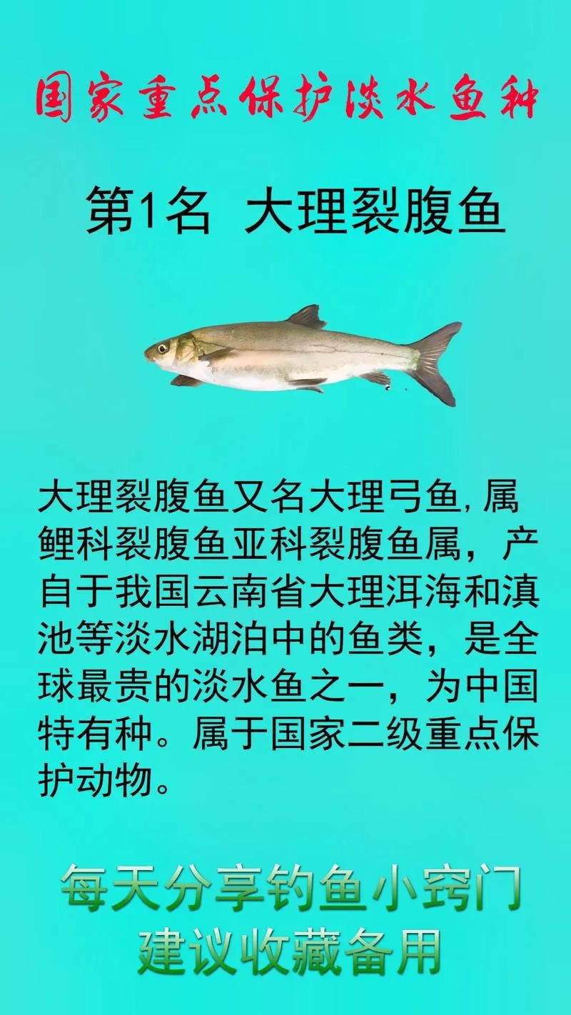 國家二級保護魚種圖片，國家二級保護水生動物探秘