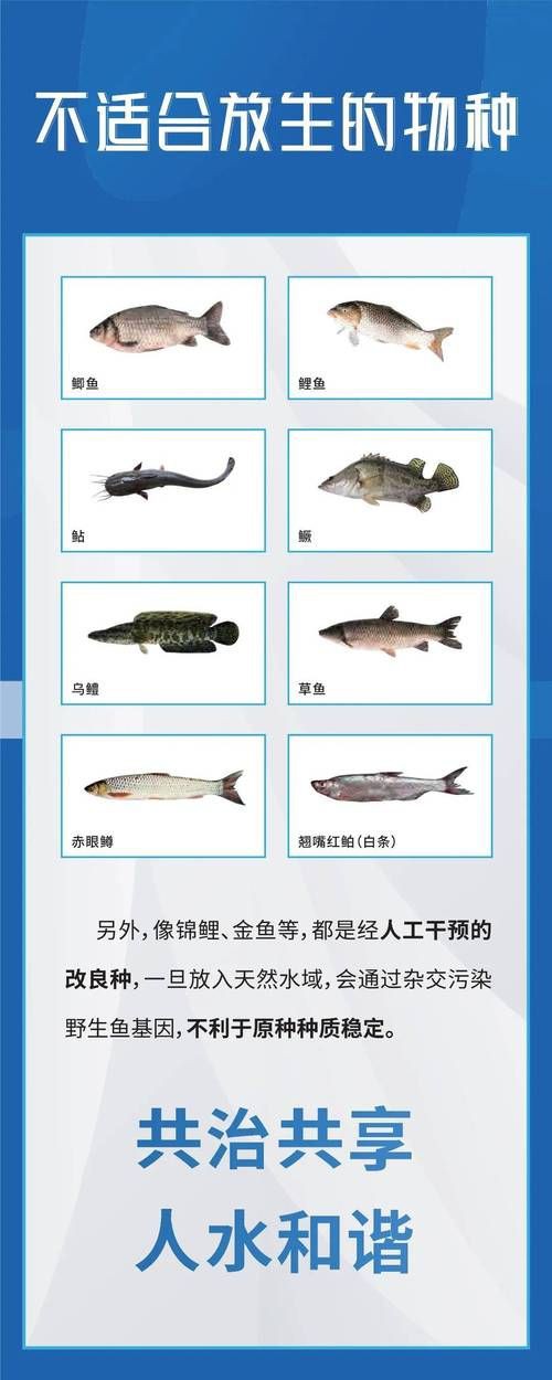 國家二級保護魚種圖片，國家二級保護水生動物探秘