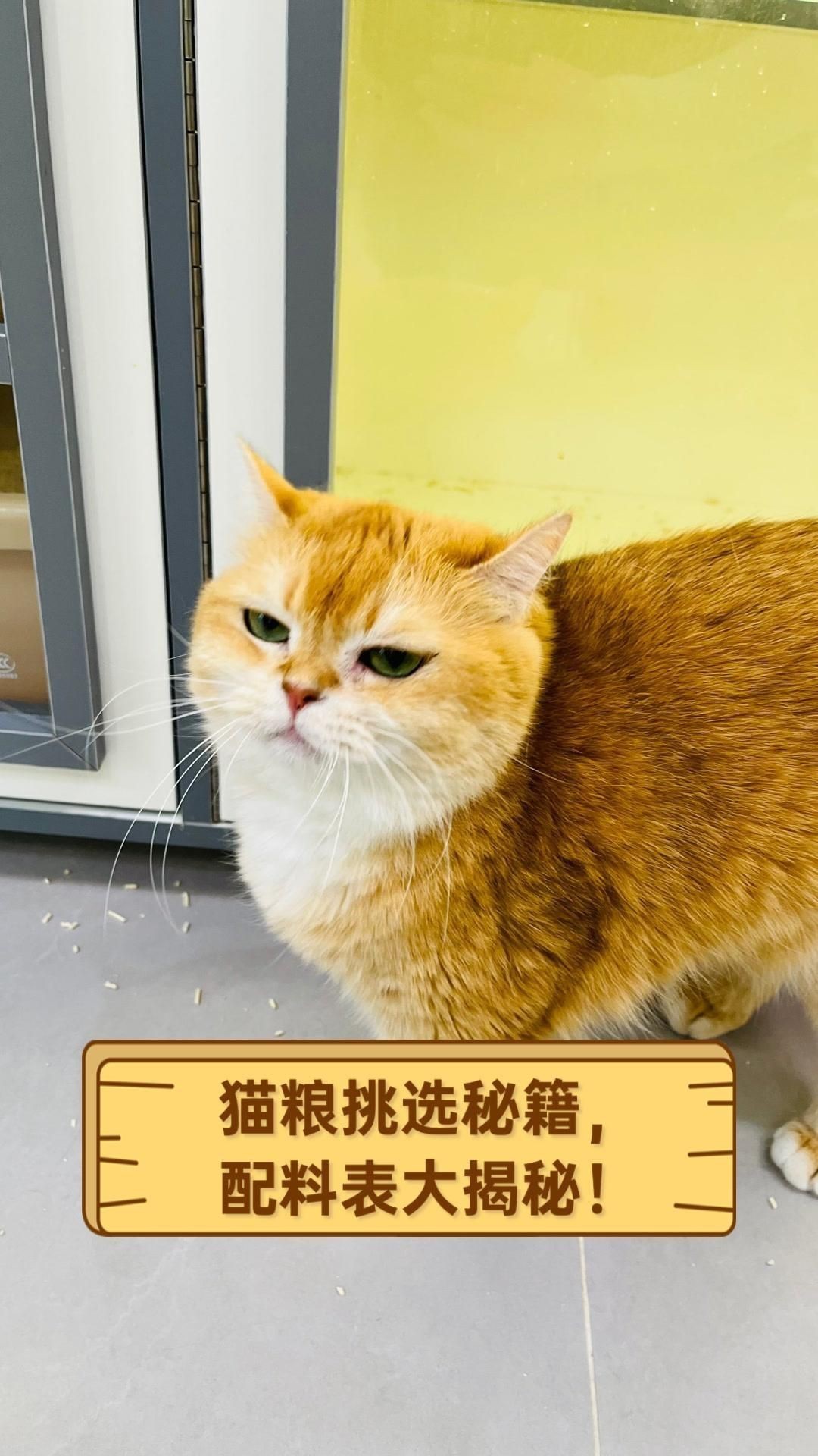 貓糧哪個(gè)牌子最好最安全，許愿仔、希喂和藍(lán)氏哪個(gè)好？