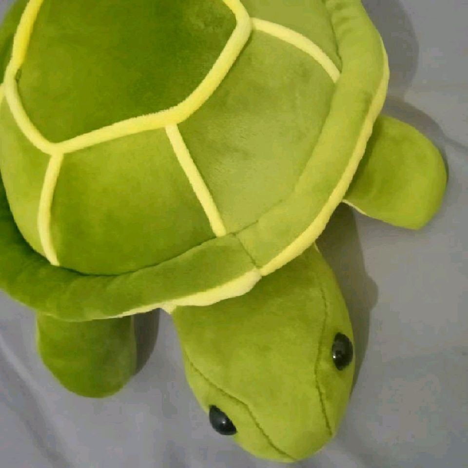 海象魚可以吃嗎,海象魚的市場價格是多少 龍魚論壇 第8張 海象魚可以吃嗎,海象魚的市場價格是多少 海象魚可以吃嗎,海象魚的市場價格是多少 龍魚論壇 第8張