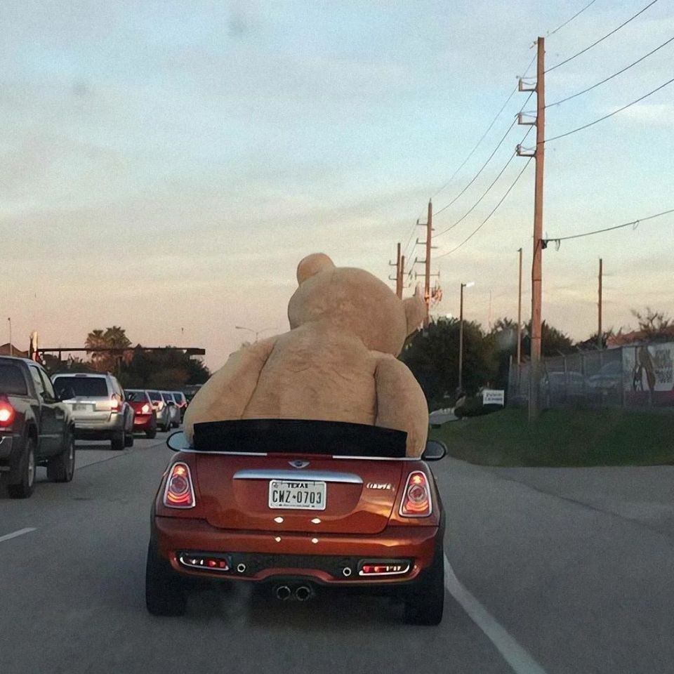 徐州龍魚店，徐州龍魚vs祥龍魚場(徐州龍魚市場