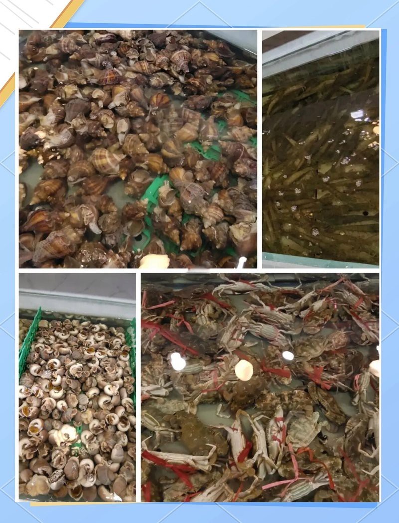 大興龍魚店，萬龍洲海鮮大興店)萬龍洲海鮮大興店 大興龍魚店，萬龍洲海鮮大興店)萬龍洲海鮮大興店 全國水族館企業名錄 第2張