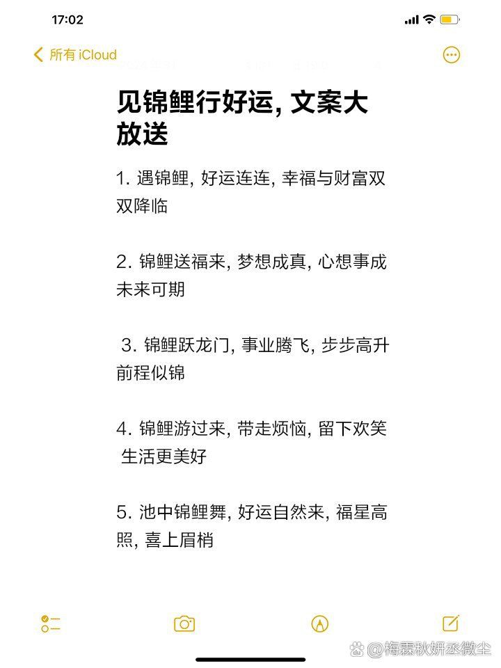 錦鯉最暖心八個字，《錦鯉最暖心八個字》“錦鯉最暖心八個字”聚焦于江湖