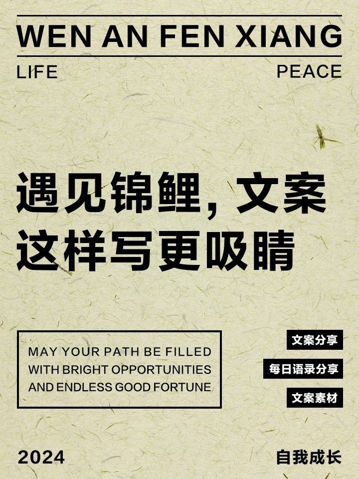 錦鯉最暖心八個字，《錦鯉最暖心八個字》“錦鯉最暖心八個字”聚焦于江湖