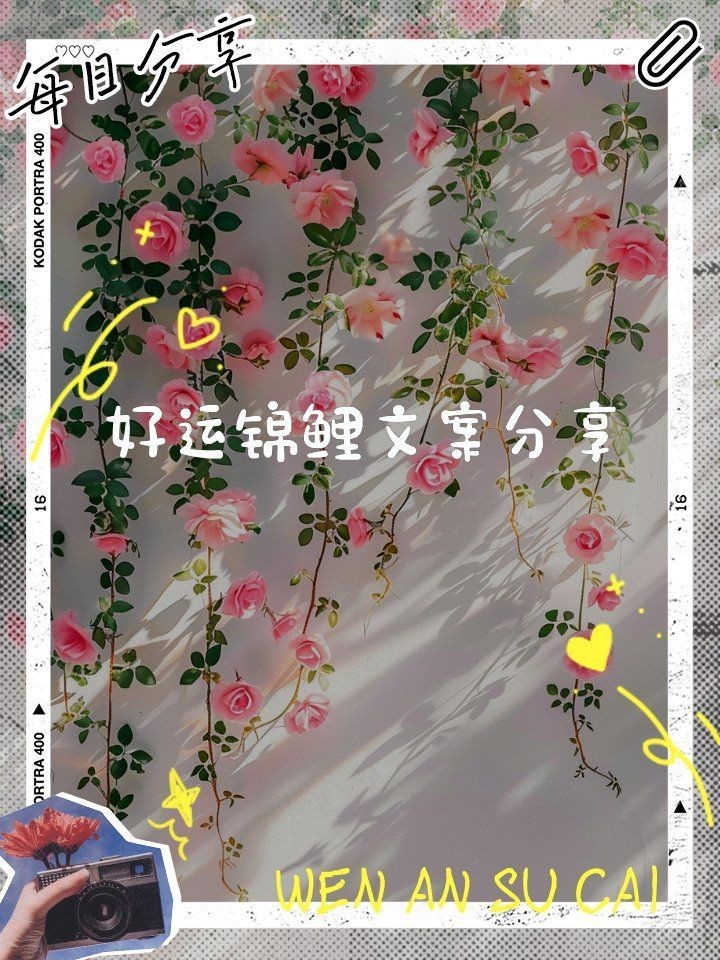 錦鯉最暖心八個字，《錦鯉最暖心八個字》“錦鯉最暖心八個字”聚焦于江湖