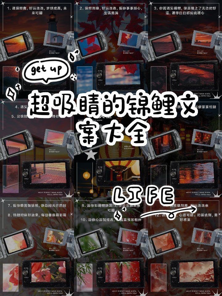 錦鯉最暖心八個字，《錦鯉最暖心八個字》“錦鯉最暖心八個字”聚焦于江湖