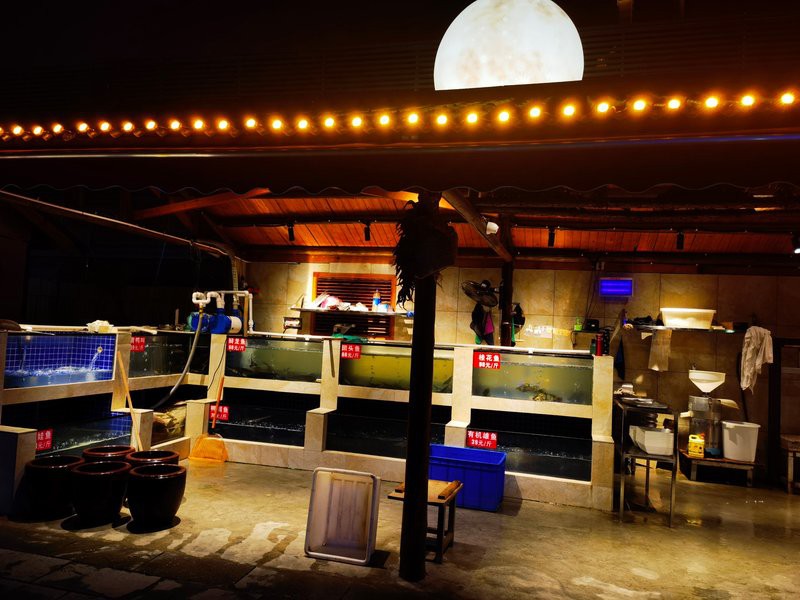 開福龍魚店，“開福龍魚店”位于長沙市開福區(qū)是一家專注于水產品經營的特色店鋪