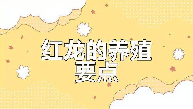 紅金龍魚養護要點指南，《紅金龍魚養護要點指南》系統闡述了該觀賞魚的科學飼養方法 紅金龍魚養護要點指南，《紅金龍魚養護要點指南》系統闡述了該觀賞魚的科學飼養方法 龍魚百科 第3張