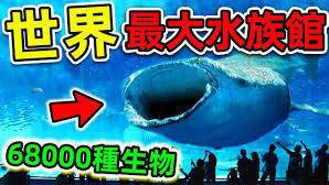 世界水族館排名，世界最大的水族館排名
