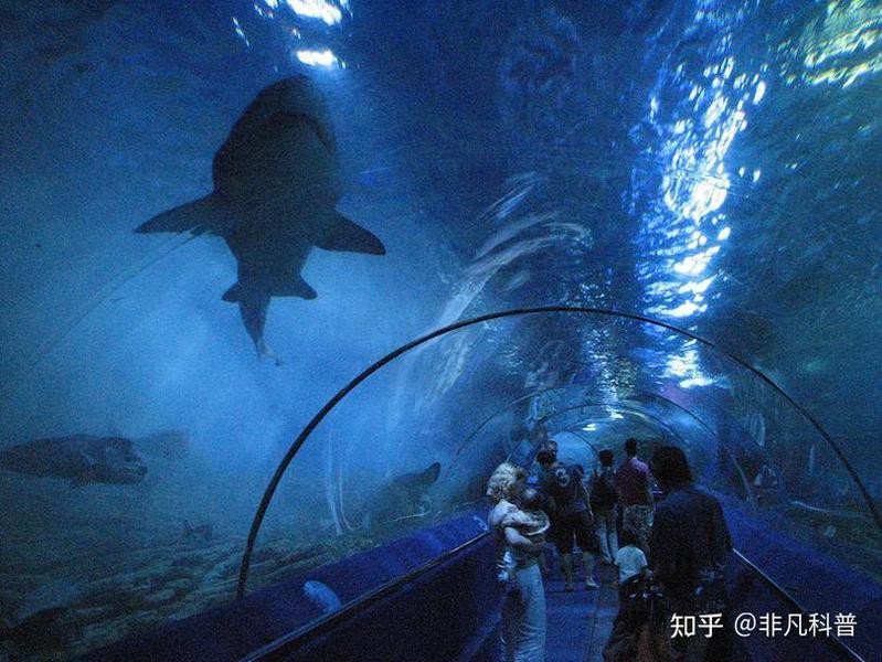 世界水族館排名，世界最大的水族館排名