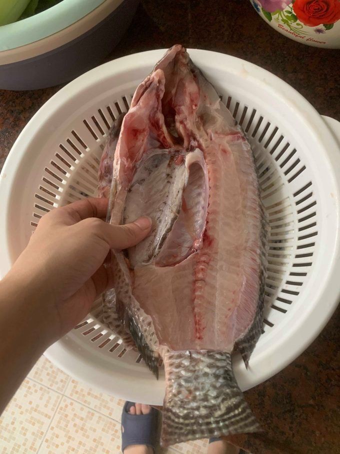 廣東的福壽魚是什么魚，廣東人不吃羅非魚是真的嗎廣東人不吃羅非魚是真的嗎