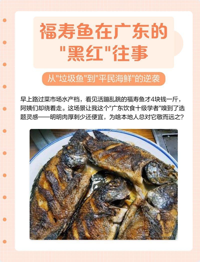 廣東的福壽魚是什么魚，廣東人不吃羅非魚是真的嗎廣東人不吃羅非魚是真的嗎