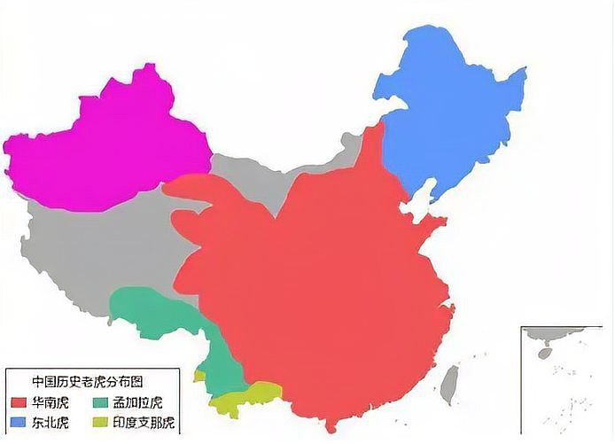 全球一共有多少只老虎，全球老虎數據顯示全球野生老虎數量約4500只，中國有約7