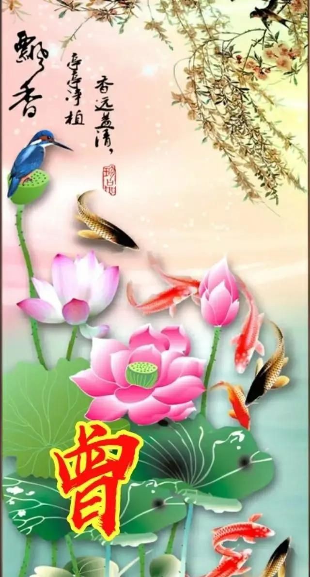牡丹花和魚在一起的寓意，《牡丹花和魚在一起的寓意》