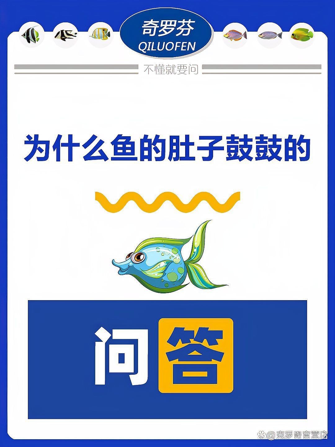 魚(yú)肚子鼓起來(lái)怎么回事怎么治療，魚(yú)肚子鼓脹怎么辦？