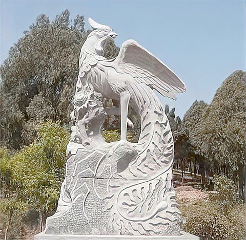 鳳凰的精神和象征意義，鳳凰形象的多重寓意與廣泛應用星辰大海鳳·凰百度教育 鳳凰的精神和象征意義，鳳凰形象的多重寓意與廣泛應用星辰大海鳳·凰百度教育 龍魚論壇 第5張