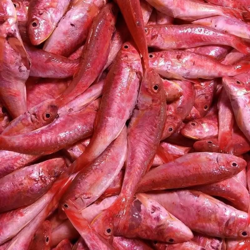 紅魚(yú)圖片大全大圖，加拿大紅魚(yú)圖片大全大圖生成的摘要：美國(guó)紅魚(yú)（擬石首魚(yú)）