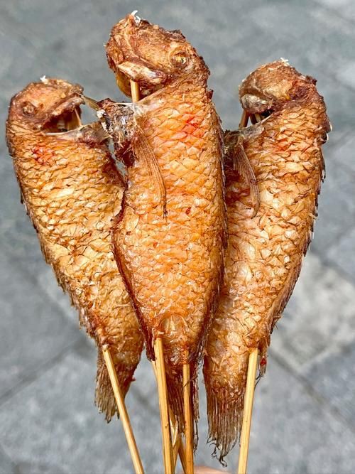 玫瑰魚圖片，玫瑰魚是一類兼具觀賞價值與生態特色的海洋及淡水魚類 玫瑰魚圖片，玫瑰魚是一類兼具觀賞價值與生態特色的海洋及淡水魚類 龍魚百科 第5張