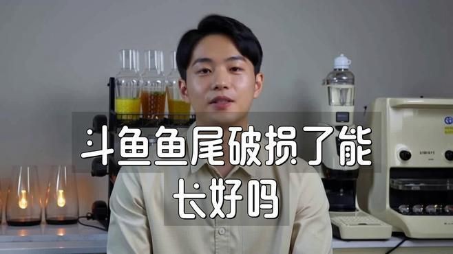 魚爛尾會自愈嗎？，斗魚爛尾能自愈嗎魯瑞達升梯魚爛尾能自愈嗎