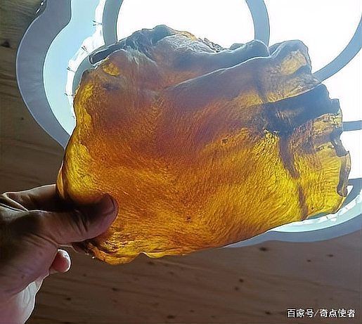 毛魚圖片，“毛魚”在不同地區(qū)指代不同物種